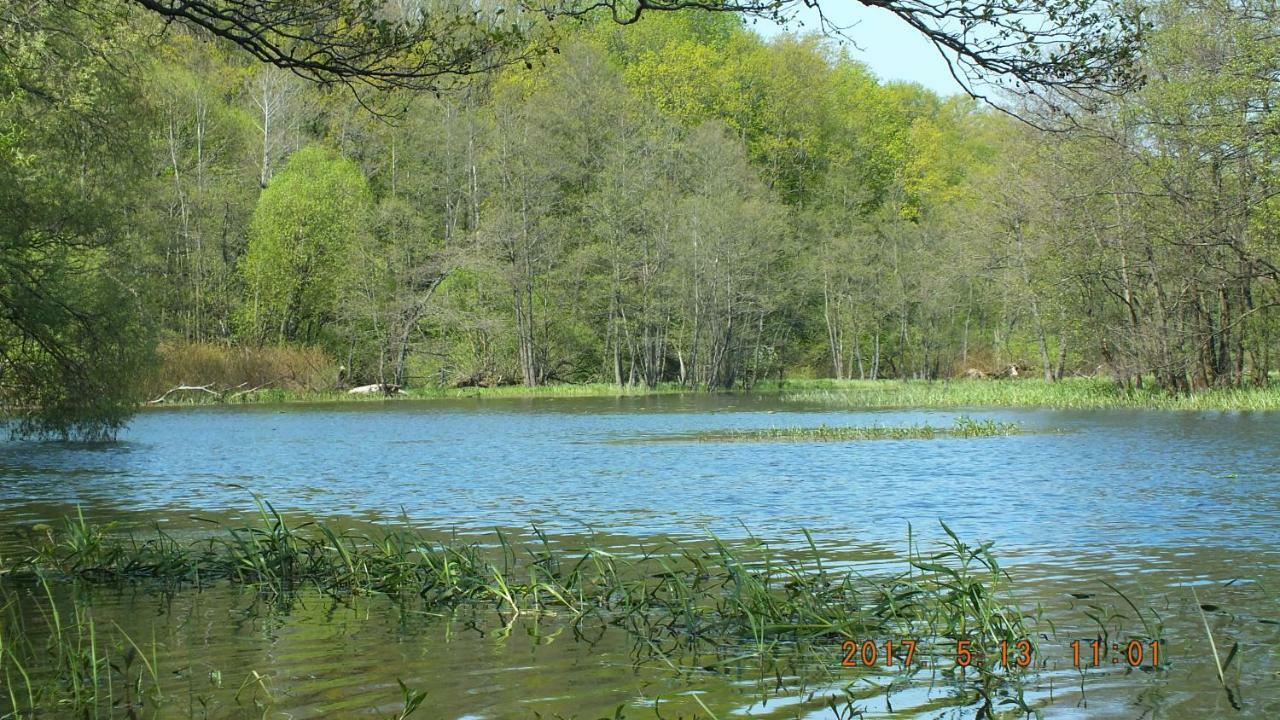 Kwatera Na Bagnach Osowiec  Extérieur photo